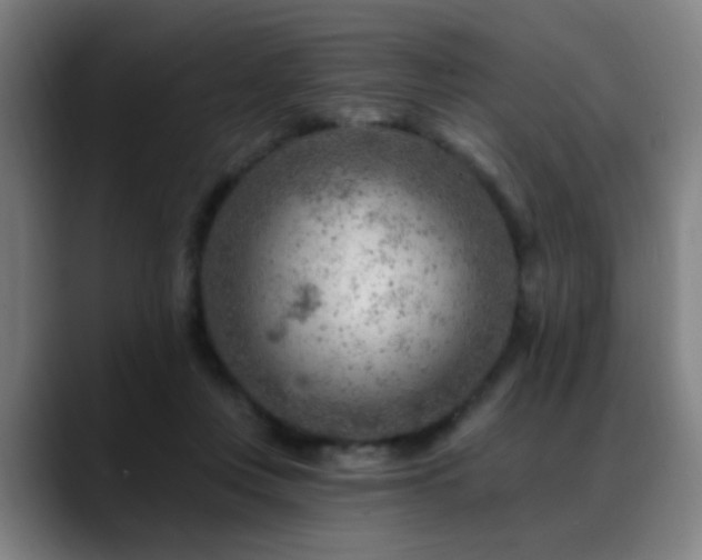 X0000089380359200706151208