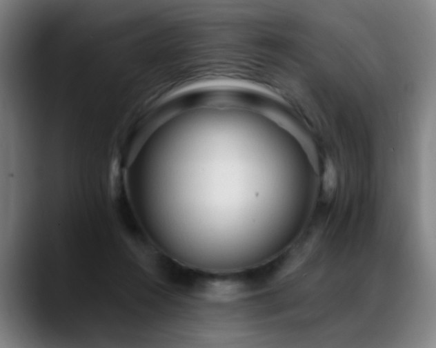 X0000089380360200706151208