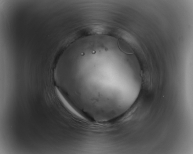 X0000089380361200706151208
