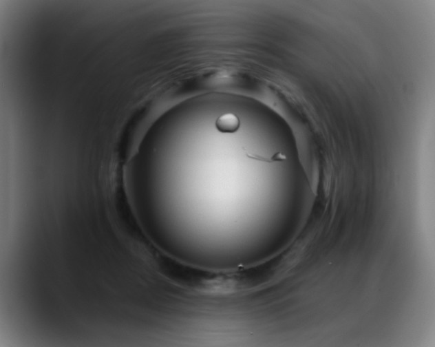 X0000089380362200706151208