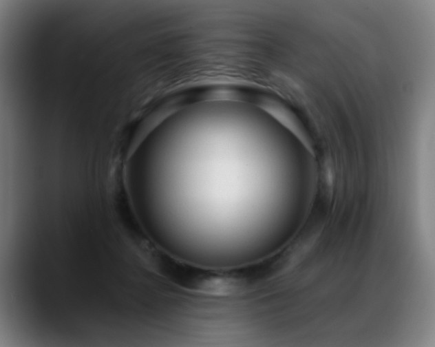 X0000089380364200706151208