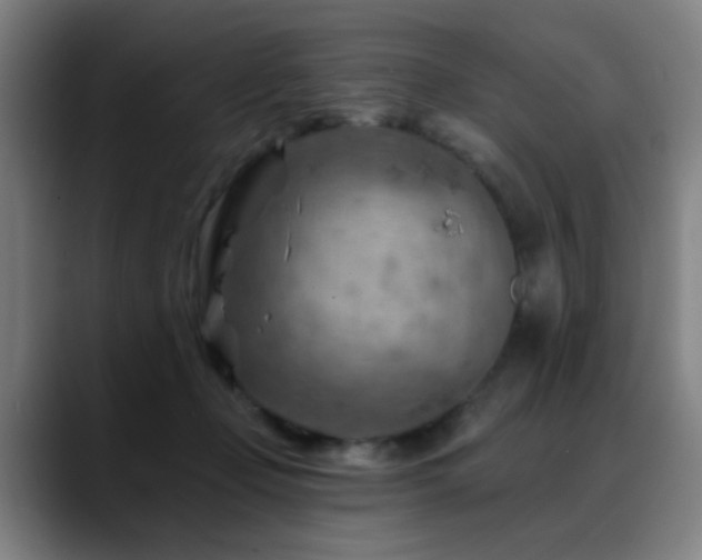 X0000089380365200706151208