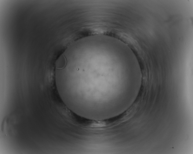 X0000089380369200706151208