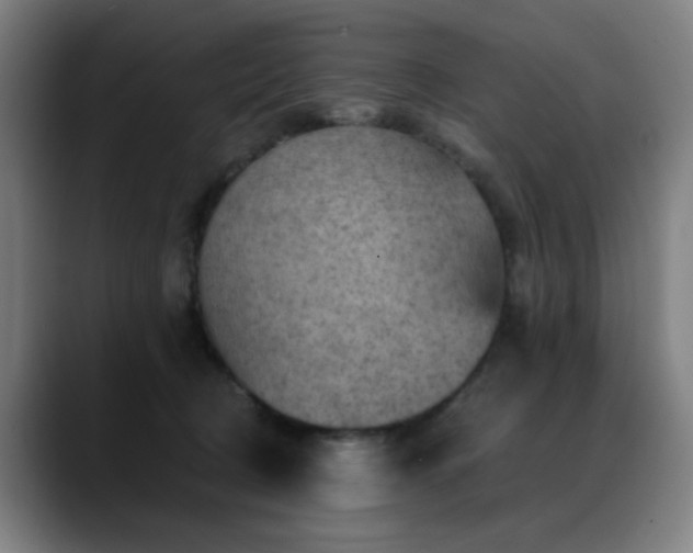 X0000089380370200706151208
