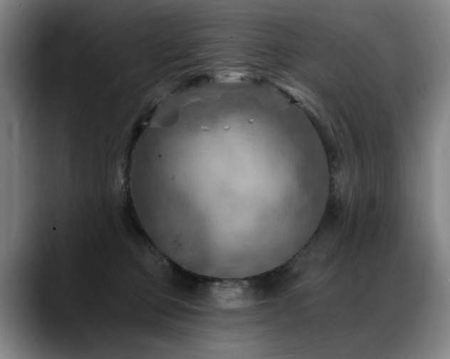 X0000089380373200706151208