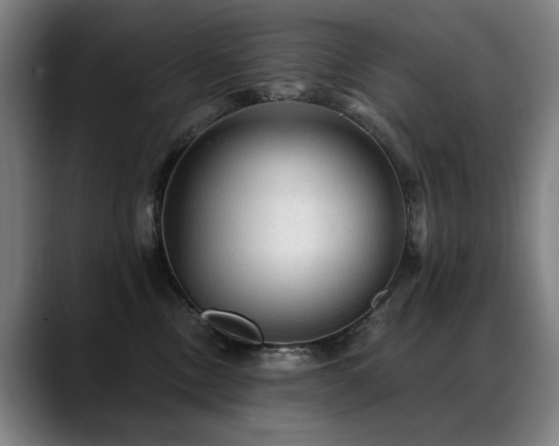 X0000089380378200706151208