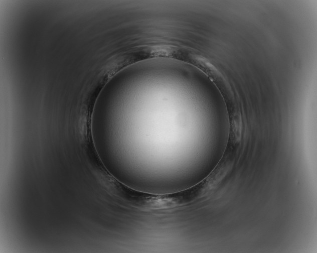 X0000089380379200706151208