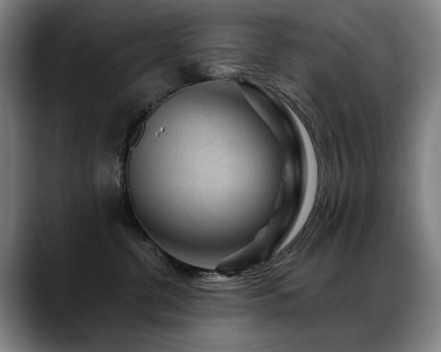 X0000089380380200706151209