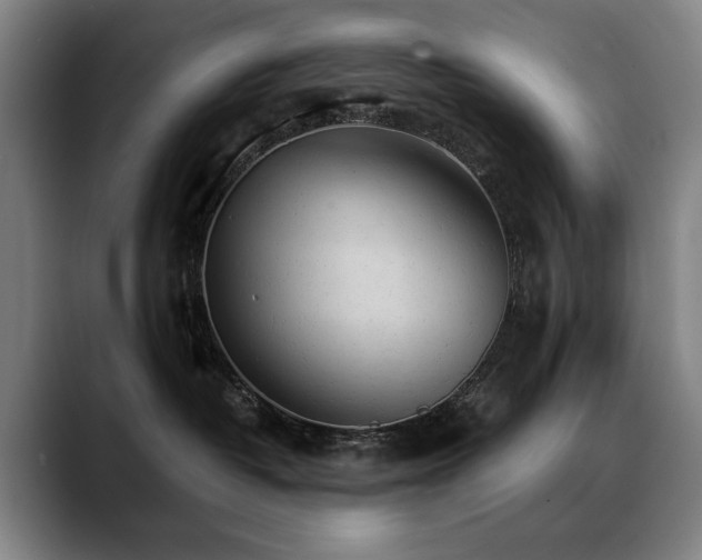 X0000089380382200706151209