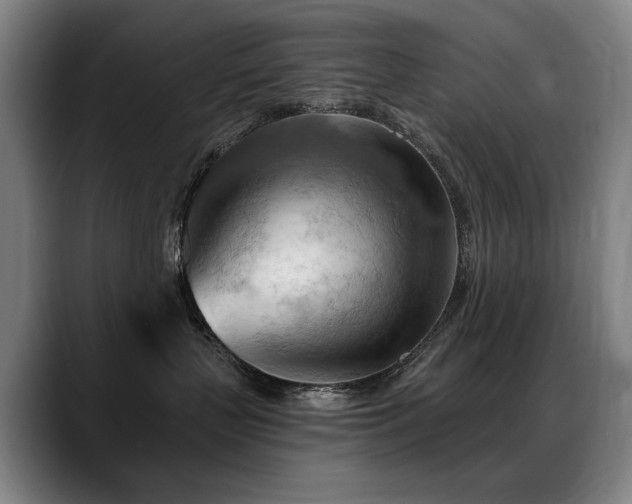X0000089380383200706151209