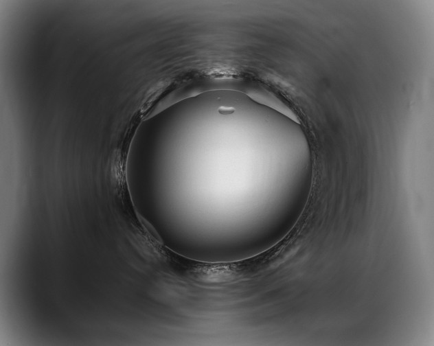 X0000089380384200706151209