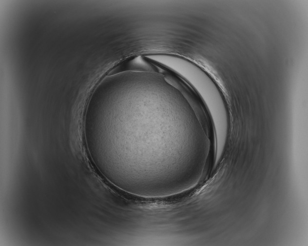 X0000089380385200706151208