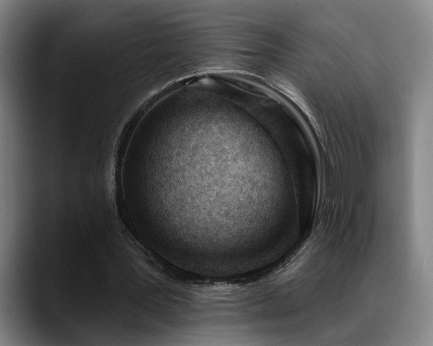 X0000089380387200706151208
