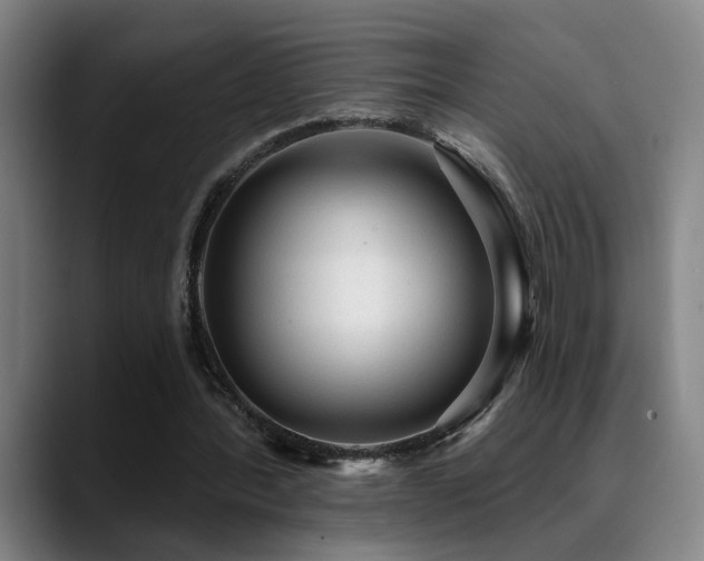 X0000089380388200706151208