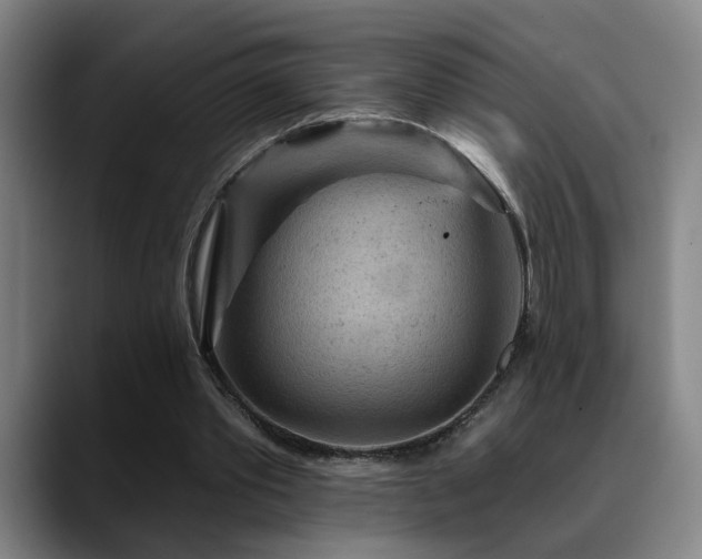 X0000089380389200706151208