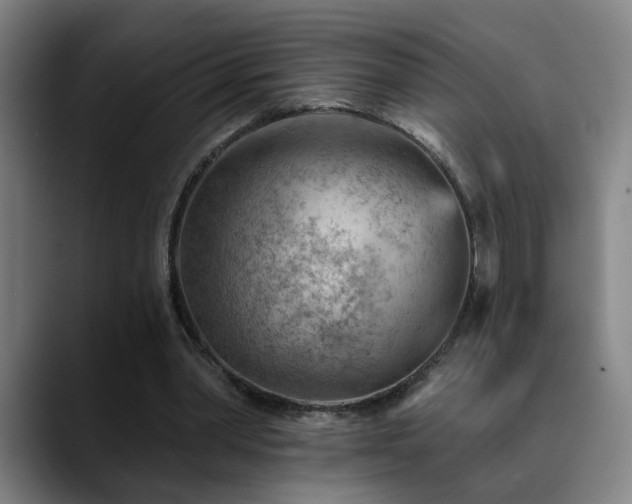 X0000089380390200706151208