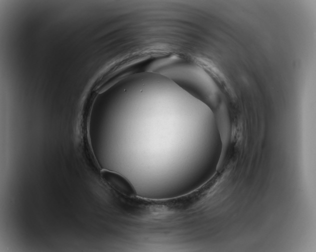 X0000089380392200706151208