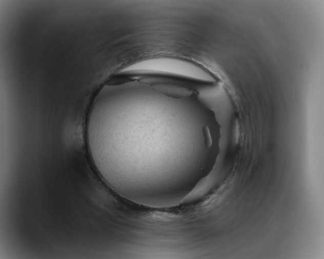 X0000089380393200706151208