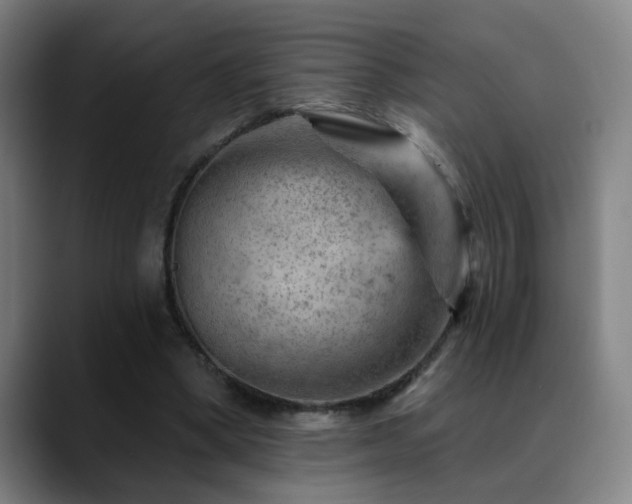 X0000089380394200706151208
