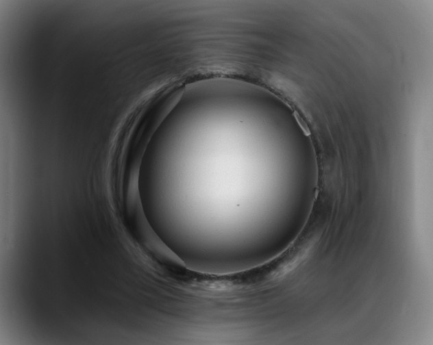 X0000089380395200706151208