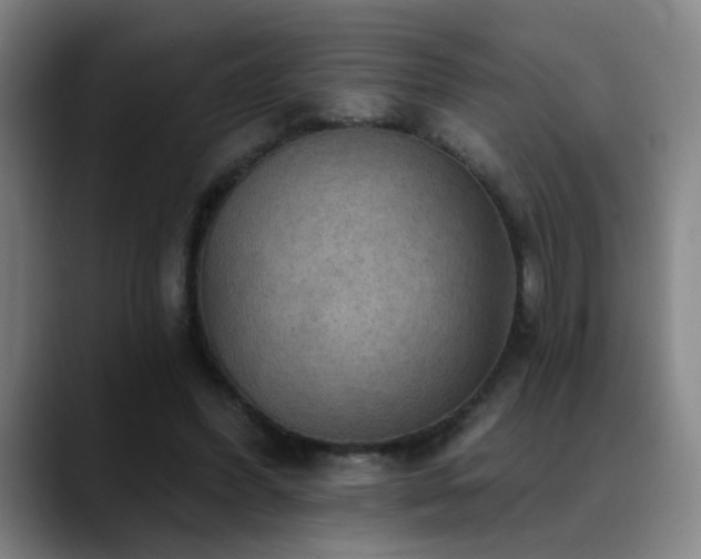 X0000089380396200706151208