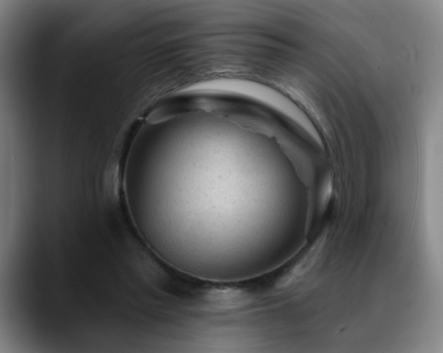 X0000089380397200706151208
