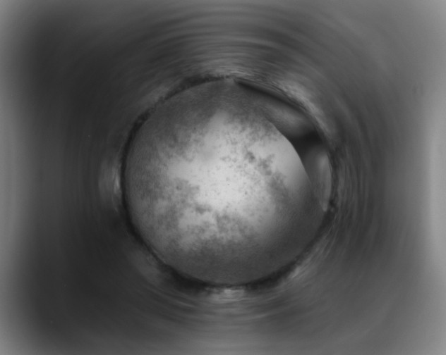 X0000089380398200706151208