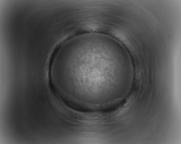 X0000089380399200706151208