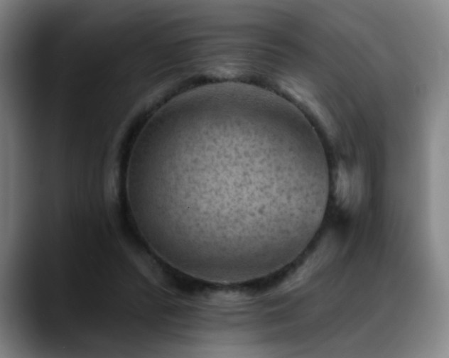 X0000089380400200706151208