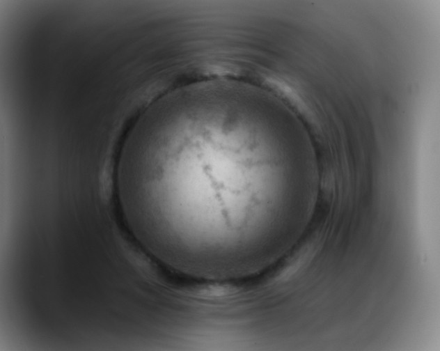 X0000089380402200706151208