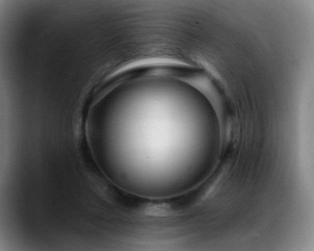 X0000089380403200706151208