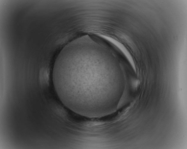 X0000089380404200706151208