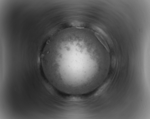 X0000089380405200706151208