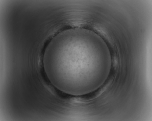X0000089380408200706151208
