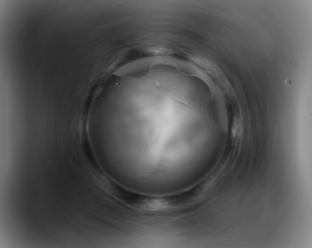 X0000089380409200706151208