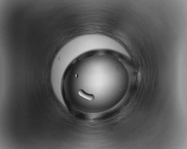 X0000089380411200706151208