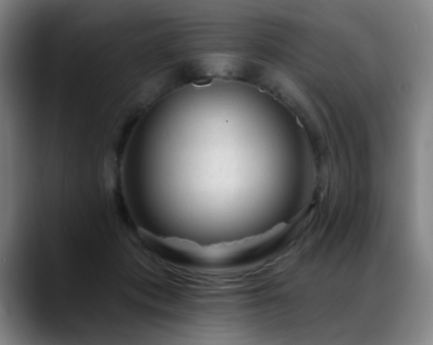 X0000089380413200706151208