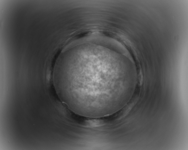 X0000089380417200706151208