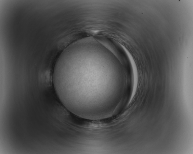 X0000089380420200706151208