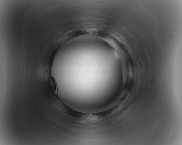 X0000089380421200706151208