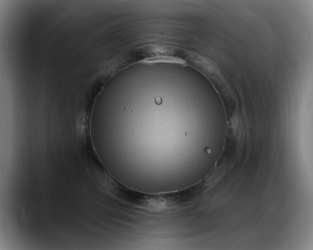 X0000089380423200706151208