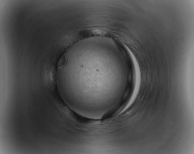 X0000089380424200706151208