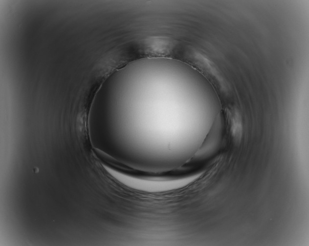 X0000089380425200706151208