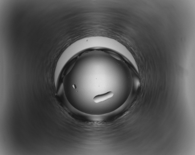 X0000089380428200706151207