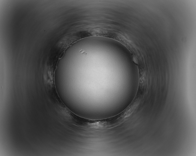 X0000089380430200706151207