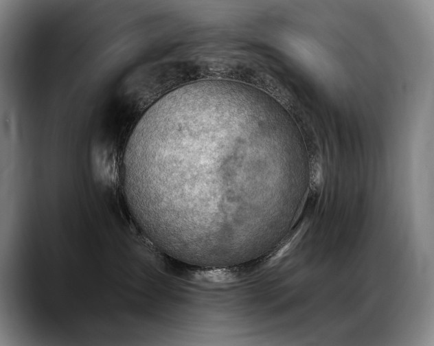 X0000089380431200706151207