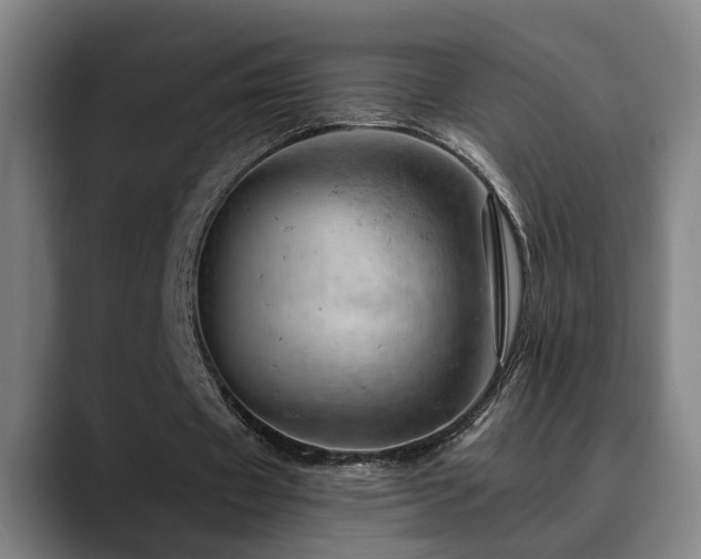 X0000089380433200706151207