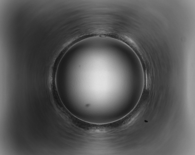 X0000089380435200706151207