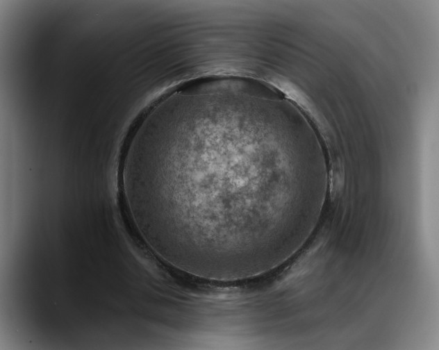 X0000089380438200706151207