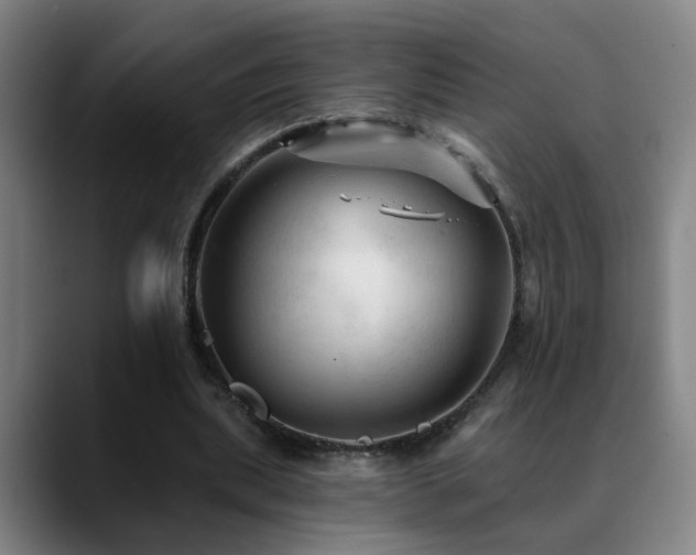 X0000089380439200706151207